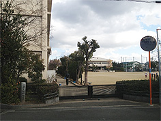 稲野小学校