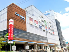 コロワ甲子園