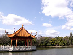 緑ヶ丘公園